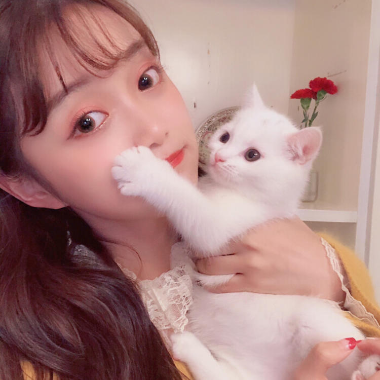 斋藤一（身份：前新选组第三分队组长、“壬生狼”） - 独播剧场VIP在线观看 - 小程序追剧